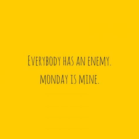 Oh Monday! #MondayMotivation @TheInsoleStore Monday Office Quotes, Monday Sucks, Beautiful Singing, Monday Vibes, Monday Monday, I Hate Mondays, Monday Memes, Hate Mondays, Weekday Quotes