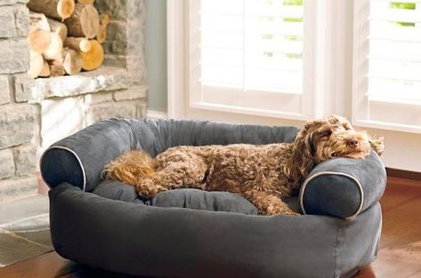 Caminha para Cachorro: Por Que Seu Cão Precisa de Uma? | Pet Elegante Dog Couches, Dog Sofa Bed, Clean Sofa, Pet Sofa, Dog Bed Furniture, Dog Cushions, Orthopedic Dog Bed, Dog Sofa, Luxury Pet