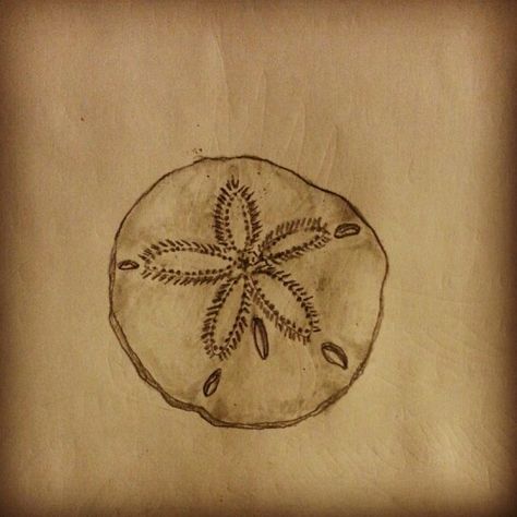 Tattoos Representing Grandchildren, Sand Dollar Tattoo Ideas, Sand Dollar Tattoo, Nautical Tattoos, Dollar Tattoo, Beach Tattoos, Starfish Tattoo, Interesting Tattoos, Seashell Tattoos