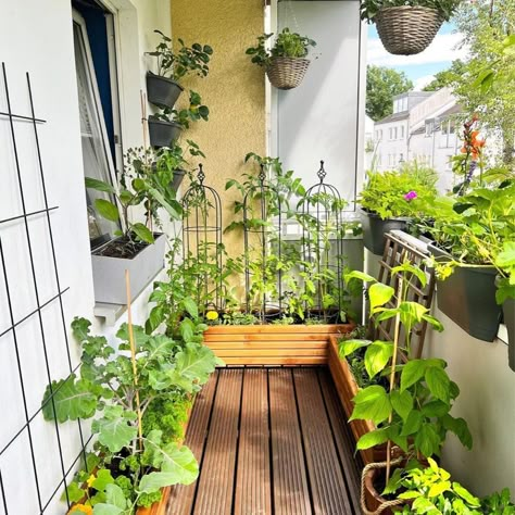 Apartment Vegetable Garden, Apartment Patio Gardens, Balcony Herb Gardens, Small House Garden, Apartment Balcony Garden, Beautiful Home Gardens, Garden Layout Vegetable, Small Vegetable Gardens, Small Balcony Garden