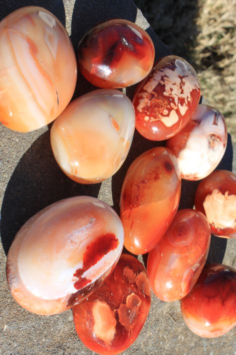 Carnelian Aesthetic, Aesthetic Crystals, Hippie Lifestyle, Red Carnelian, Palm Stones, Carnelian Crystal, Improve Blood Circulation, Red Crystals, Crystal Items