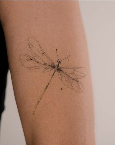 Aesthetic Tattoo Ideas, Tattoo Pencil, Small Dragonfly Tattoo, Flying Tattoo, Dragonfly Tattoo Design, 20 Aesthetic, Inspiration Tattoos, Dragonfly Tattoo, Classy Tattoos