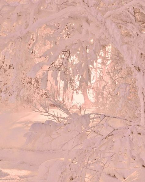 Simple breathtaking. .•:* ❄ *:•. Snowy Places, Cottage Photography, Happy Winter Solstice, Winter Pics, Winter Woods, Breathtaking Photography, I Love Snow, Staff Gifts, Creepy Pictures