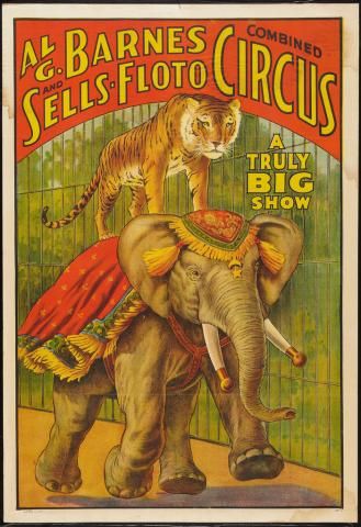 A Truly Big Show - Al G. Barnes Circus - Elephants are important stars in a circus, and this 1930s-era poster reveals an impressive act.  Not only does the Al G. Barnes and Sells-Floto Circus have a trained elephant, they also have a tiger who can ride on the elephant's back. Cirque Vintage, Old Circus, Circus Vintage, Vintage Circus Posters, Circus Sideshow, Circus Circus, Circus Poster, Circus Animals, Museum Poster