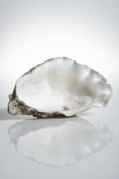 Bleaching removes the smell from oyster shells. Oyster Shell Crafts, Seashell Projects, Shell Ornaments, Shell Decor, Oyster Shells, Seashell Art, Beach Crafts, Seashell Crafts, Shell Art