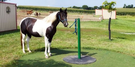 The Patience Pole Teaches Your Horse To Stand Quietly - COWGIRL Magazine Horse Patience Pole, Patience Pole For Horses Diy, Animal Farms, Farm Pets, Training Horses, Horse Farm Ideas, Diy Horse Barn, Horseback Riding Tips, Shelter Ideas