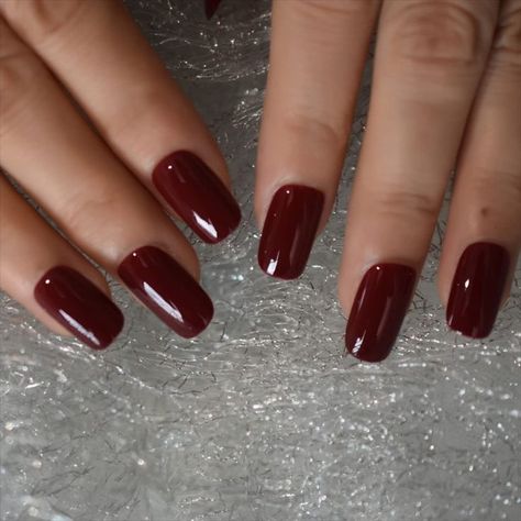 iBeautying Press on Nails - Press On Nails - Burgundy Claret Pure Color False Nails  UV Nails Burgundy, Nail Medium, Nails Glossy, Nail Design Inspiration, Burgundy Nails, Top Nail, False Nail, Artificial Nails, False Nails