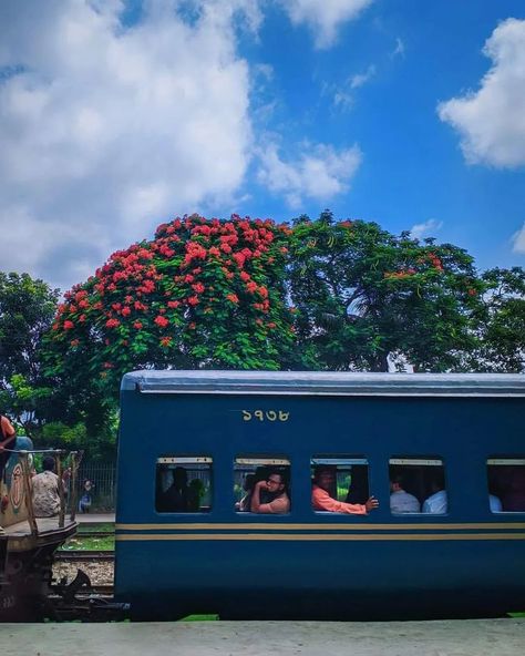 Such pictures are seen all the time in Bangladesh, you are invited to come to Bangladesh. #photography #travel #nature #trend Bangladesh Photography, Bangladesh Travel, Travel Nature, Photography Travel, Art Tutorials Drawing, The Train, You Are Invited, Empowering Quotes, Art Tutorials