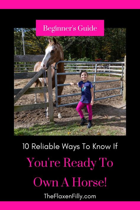 Find out if you're ready to buy a horse and how you can prepare before buying your first horse. Learn what you'll need to budget for and the cost of horse ownership per month and per year. Determine if you have enough experience to buy your first horse and where to get horse ownership tips and support for beginner horse owners. Horse Ownership For Beginners, Horse Essentials, Horse Ownership, First Horse, Horseback Riding Tips, Buy A Horse, Horse Knowledge, Horse Care Tips, Horse Ideas