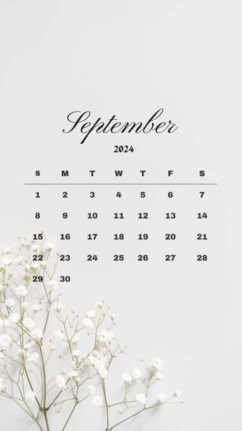 September Wallpaper Ideas for you. I created different style and theme for this fall season. Follow for next wallpaper post 💜  #wallpaper #september #2024 #calendar #cutewallpaper #iphone #android #wallpaperidea #journal #planner #idea #fall #autumn Planner Wallpaper Backgrounds, September Desktop Wallpaper Aesthetic, September Calender 2024, September 2024 Calendar Aesthetic, September Calendar 2024 Aesthetic, September 2024 Calendar Wallpaper, Calendar September 2024, September 2024 Calendar, September Calendar 2024