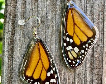 Asana Natural Arts by AsanaNaturalArts on Etsy Butterfly Preservation, Monarch Jewelry, Butterfly Wings Earrings, Wings Butterfly, Wings Earrings, Real Butterfly Wings, Real Butterfly, Butterfly Wing Earrings, The Monarch