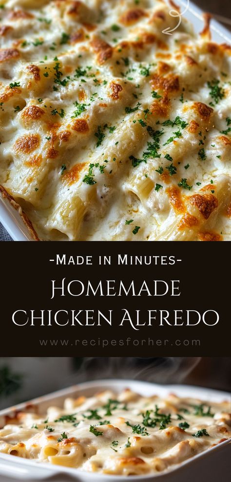 Alfredo Spaghetti Bake, Chicken Alfredo Spaghetti, Baked Chicken Pasta, Baked Chicken Alfredo, Alfredo Spaghetti, Baked Chicken Pasta Recipes, Homemade Chicken Alfredo, Baked Chicken Alfredo Pasta, Alfredo Casserole