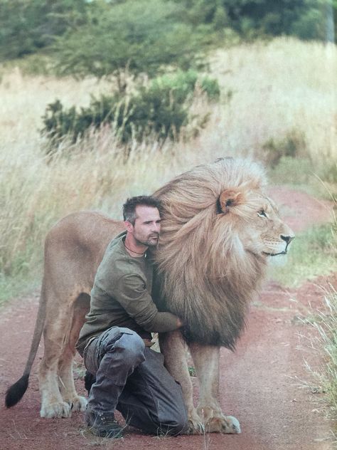 Magnificent Kevin Richardson Love and trust among human and animal Kevin Richardson, Lion Love, Friends Photo, A Lion, Wildlife Animals, African Animals, Animal Photo, Beautiful Cats, Animals Friends