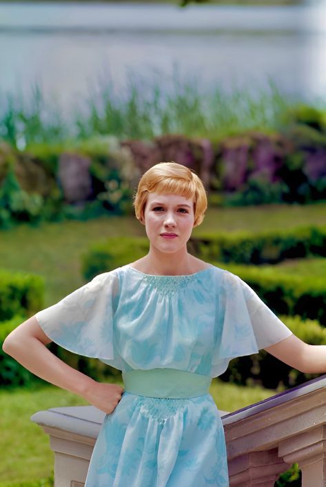 Julie Andrews - The Sound of Music - 1965 Julie Andrews Sound Of Music, Julie Andrews Aesthetic, The Sound Of Music, Sound Of Music Costumes, Jessica Andrews, Pretty Costume, Julie Andrews, Famous Movies, Movies Outfit