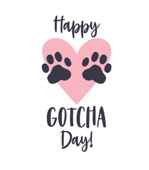 Pet Birthday Quotes, Happy Gotcha Day Dogs, Dog Adoption Quotes, Spooky Mulder, Gotcha Day Dog, Adoption Anniversary, Happy Gotcha Day, Beautiful Phrases, Puppy Quotes