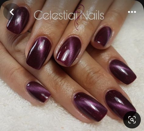 Short Square Acrylic Nails Maroon, Chrome Plum Nails, Plum Cat Eye Nails, Purple Cats Eyes Nails, Magnetic Nail Polish Cat Eye, Square Cat Eye Nails, Cat Eye Gel Nail Designs, Neutral Cat Eye Nails, Cat Eye Acrylic Nails