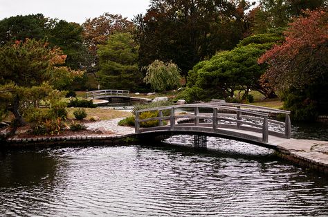 Roger Williams Park Zoo Japanese Garden Roger Williams Park, Rogers Gardens, The Revenant, Landscape Pictures, Family Trip, Vow Renewal, Japanese Garden, Rhode Island, Day Trips