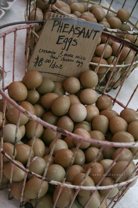 Pheasant Eggs | back home from one of my favorite cities in … | Flickr Pheasant Coop, Raising Pheasants, Pheasant Farm, Pheasant Eggs, Ringneck Pheasant, Raising Turkeys, Raising Quail, Duck Or Rabbit, Quail Hunting