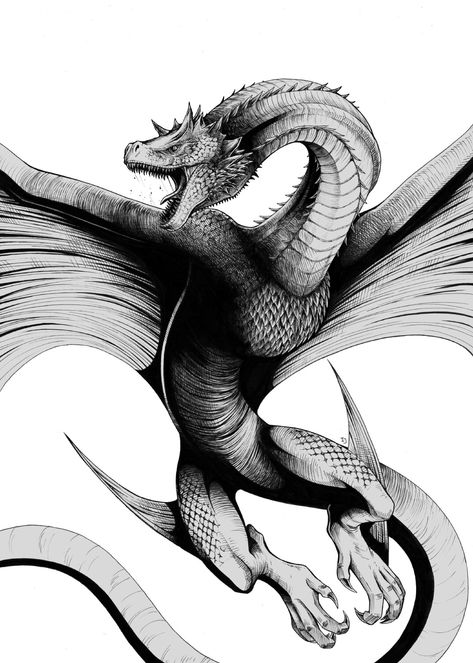 Dragon Art Game Of Thrones, Caraxes Dragon Drawing, Woodcut Dragon Tattoo, Meleys Dragon Tattoo, Game Of Thrones Dragon Art, Smaug Dragon Tattoo, Caraxes Dragon Fanart, House Of The Dragon Drawing, House Of The Dragon Caraxes