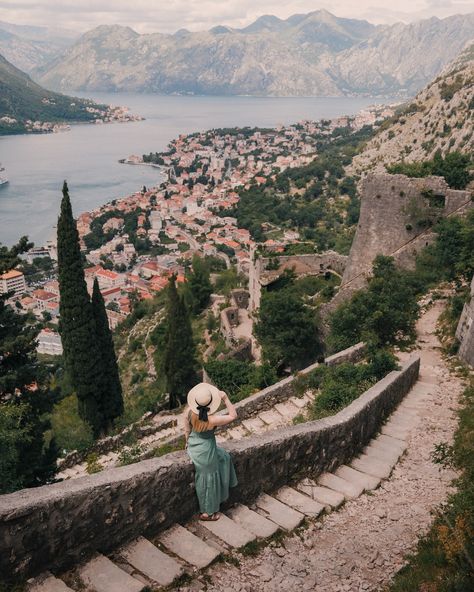 The view from Kotor Fortress is absolutely worth climbing the 1350 steps for! ⛰️🇲🇪 . . . #kotorfortress #kotor #kotormontenegro #montenegro #visitmontenegro #travel #travelphotography #instatravel #wanderlust Montenegro Aesthetic, Cruise Aesthetic, Montenegro Kotor, Kotor Montenegro, Travel Europe, Oh The Places Youll Go, Albania, The View, Insta Travel