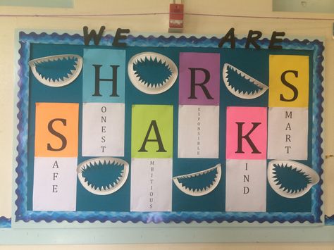 Shark bulletin board. Acrostic poem. Paper plate shark teeth. Shark Classroom Theme, Shark Bulletin Board, Paper Plate Shark, Lock In Ideas, Nurse Office Ideas, Shark Decorations, Camp Themes, Ocean Shark, Math Bulletin Boards