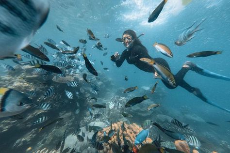 Pulau Harapan adalah salah satu dari dua pulau yang berpenduduk. Saat ini Pulau Harapan sudah cukup dikenal sebagai destinasi wisata di Kepulauan Seribu bagian utara. Island Hopping menjadi salah satu bagian kegiatan Wisata Pulau Harapan yang menarik. Dengan banyaknya pulau di wilayah Wisata Pulau Harapan anda bisa memilih salah satu atau beberapa pulau untuk dikunjungi. Rata-rata pelancong bisa melakukan jelajah pulau sebanyak 4-6 pulau dalam satu kunjungan Wisata Pulau Harapan 2 hari 1 malam. Pulau Seribu, Banana Boat, Island Hopping, Snorkeling, Jakarta, Sci-fi Spaceship, Sci Fi, Art