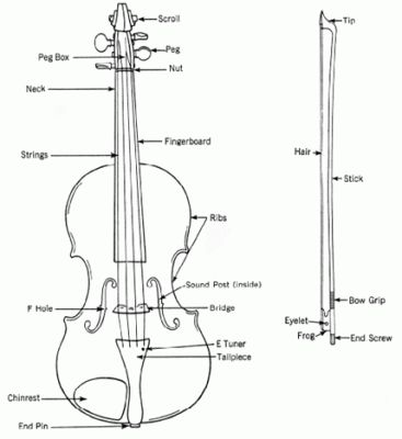 Violin and Bow Diagram Violin Worksheets, Violin Teaching, Violin Parts, Learn Violin, Violin Lessons, Violin Bow, Music Motivation, The Violin, Elementary Music