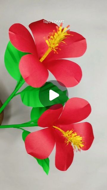 Tapu's CRAFT on Instagram: "Beautiful Paper  hibiscus flower 🌺
#paperflower #papercrafts #craftideas #easycrafts
#paperhibiscus

For detailed tutorial video please visit our YouTube channel
Link is in bio 💕" Hibiscus Paper Flower, Make Paper, Beautiful Paper, Hibiscus Flower, Tutorial Video, Hibiscus Flowers, How To Make Paper, Flower Crafts, Flower Making