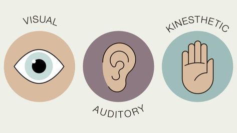 Learning Styles and the OT Patient - OT Toolkit Blog Auditory Learning Style, Kinesthetic Learning Style, Visual Learning Style, Differentiation In The Classroom, Auditory Learners, Types Of Learners, How To Juggle, Visual Thinking, Teach English