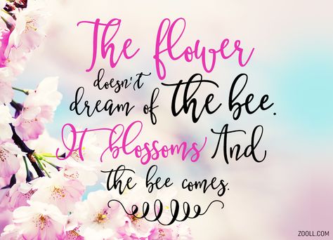 Quote of the Week: The Flower Doesn't Dream Of The Bee. It Blossoms And The Bee Comes. #quotes Florist Quotes, Dividers Ideas, Disloyal Quotes, Inspirational Uplifting Quotes, Have A Nice Week, Perfume Quotes, Bee Quotes, Happy Birthday Rose, Enchanted Florist