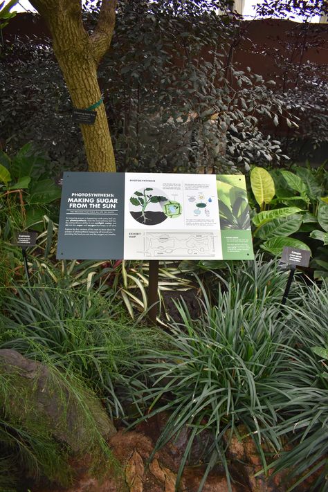 Tree Signage Design, Interpretive Signage Design, Garden Signage, Zoo Signage, Interpretive Signage, Garfield Park Conservatory, Wood Signage, Singapore Garden, Landscape And Urbanism Architecture