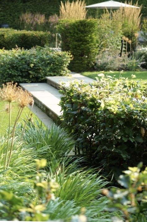 Beech Hedge Garden Design, Beech Hedging, East Facing Garden, Beech Hedge, Fagus Sylvatica, Country Garden, Modern Country, Country Gardening, Patio Ideas