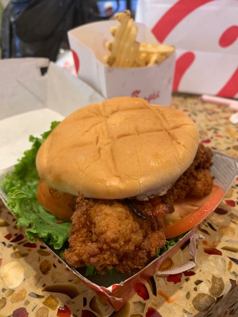 Spicy Chicken Sandwich Chick Fil A, Chic Fil A Chicken Sandwich, Chicken Sandwich Aesthetic, Chicken Sandwich Chick Fil A, Chick Fil A Aesthetic, Chicken Sandwich And Fries, Chick Fil A Chicken Recipe, Chick Fil A Chicken Sandwich, Chick Fil A Sandwich