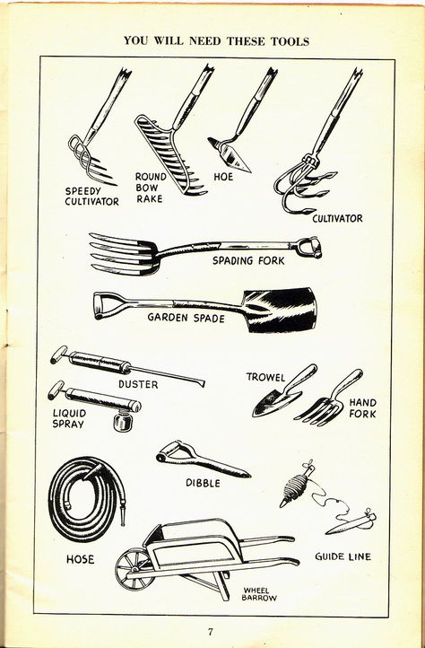 Victory Gardens, Garden Spade, Ohio History, Garden Plots, Victory Garden, Garden Veggies, Support Our Troops, Garden Guide, Grow Your Own