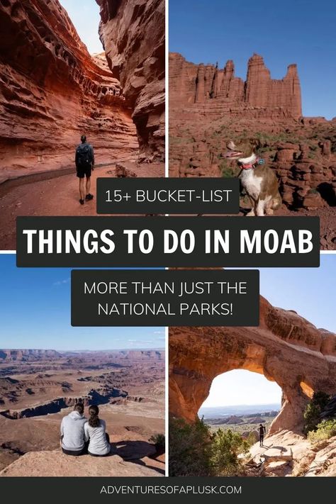 The Best Things to do in Moab, Utah | Dog friendly Moab, Utah | What to do in Moab, Utah | Moab hikes | Best hikes in Moab, Utah | Where to stay in Moab | What to eat in Moab, Utah | Best Food in Moab Moab Utah Things To Do, Salt Lake City Hikes, Zion National Park Hikes, Utah National Parks Road Trip, Midwest Road Trip, Colorado National Monument, Utah Vacation, Visit Utah, Utah Adventures