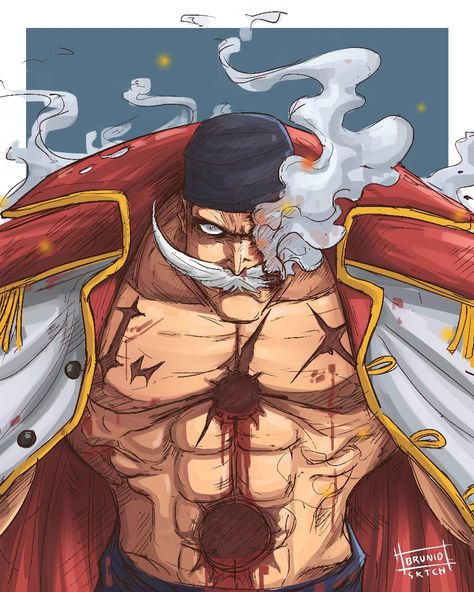 Injury Reference, Barba Blanca One Piece, Cp9 One Piece, Bonney One Piece, 4k Wallpaper Android, Doflamingo Wallpaper, Edward Newgate, Trening Sztuk Walki, One Piece World