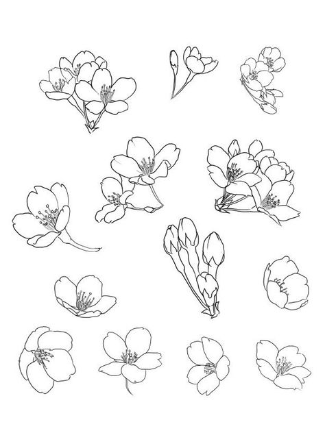 Ako Kresliť, Drawing Elements, Plant Drawings, Doodle Diary, Blossom Tattoo, Tattoo Sketch, Flower Sketches, 수채화 그림, Bullet Journal Inspiration