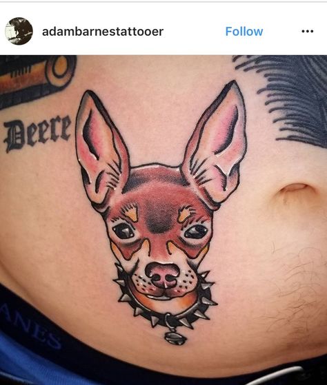 American Traditional Chihuahua Tattoo, Traditional Chihuahua Tattoo, Chihuahua Tattoos, Chihuahua Tattoo, Tattoo Dog, Min Pins, Min Pin, Art Tattoos, Dog Tattoo