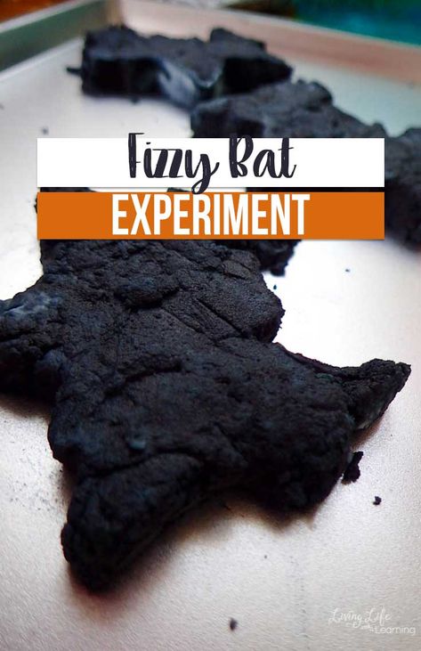 If you are searching for a fun way to introduce bats to your child, give this fizzy bat experiment a try! Your kids will love it, too! Discover how amazing bats are.  #bats #science #homeschool #homeschoolscience #fall #LivingLifeandlearning Bat Science Experiments, Bat Science Activities, Bat Activities For Kids, Bats Unit Study, Bat Lessons, Bats Science, Bats Activities, Science Homeschool, Halloween Themed Activities