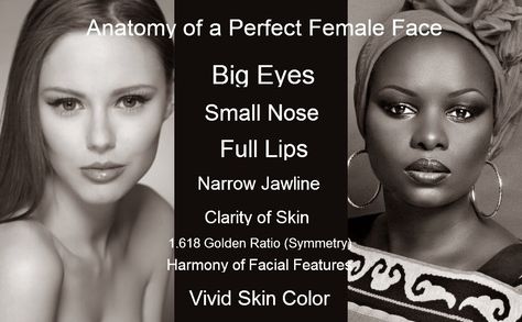 Perfect female face Human Face Anatomy, My Celebrity Look Alike, Natural Beauty Face, Bombshell Look, Facial Aesthetic, Glow Tips, Bigger Eyes, Briar Beauty, Face Proportions