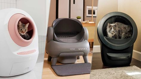 My cats picked this robot litter box over 2 others — and it's down to lowest price ever after Prime Day Cat Litter Boxes, Litter Robot, Best Laptops, Prime Day, Cat Litter Box, Home Entertainment, Cat Litter, Litter Box, Best Tv