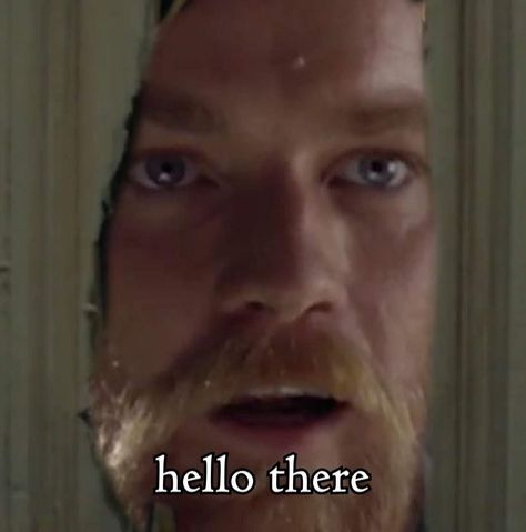 Star Wars Reaction Pics, Star Wars Reaction, Thread Twitter, Star Wars Meme, General Kenobi, Star Wars Stickers, Star Wars Cast, Star Wars Jokes, Star Wars Men