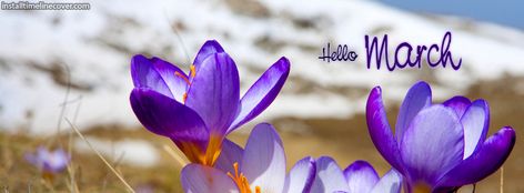 Welcome March, Facebook Cover Photos Quotes, Scrapbook Themes, Fb Banner, Dream Ideas, Hello July, Cover Pics For Facebook, Hello March, Facebook Cover Images