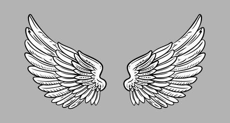 Sketch angel wings. Angel feather wing. Vector illustration. Angel Wings Sketch, Sketch Angel, Wing Vector, Wings Sketch, Angel Feather, Angel Feathers, Feather Wings, Angel Wings, Vector Art