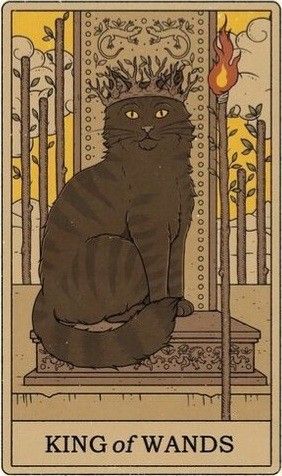 Witchy Songs, Cat Tarot Cards, Tarot Cards Art Illustration, King Of Swords, King Of Wands, Wands Tarot, A Kind Of Magic, Oracle Tarot, Black Cat Art