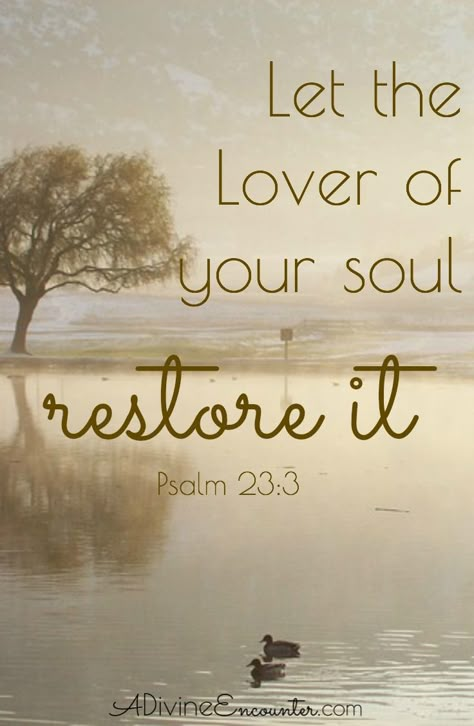 Psalm 23 3, He Restores My Soul, A Bible Verse, The Lover, Psalm 23, Verse Quotes, Scripture Verses, Bible Verses Quotes, Bible Scriptures