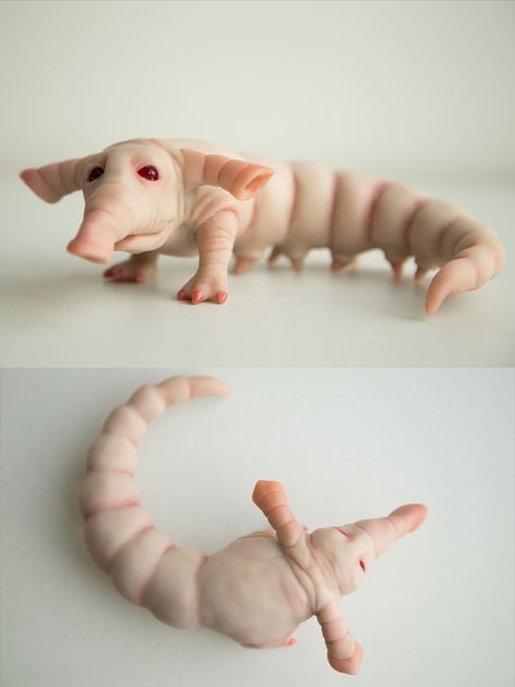 Mathew the Elephant worm is creepy cute fantasy creature, fantastic planet beast inhabitant Alien Elephant, Makemake Planet, Fantastic Planet, Art Alien, Fantasy Animals, Alien Character, Fantasy Creature, Weird Gifts, Cute Fantasy Creatures