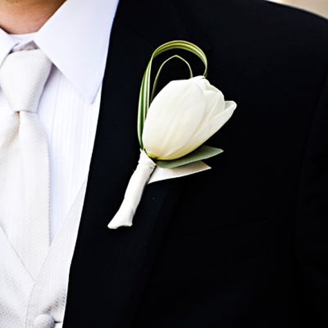 Groomsmen Boutonnieres Option 2. White Tulip accented with lily grass Tulip Boutonniere, French Tulip, Tulip Wedding, Button Holes Wedding, Groomsmen Boutonniere, Beach Wedding Flowers, Wedding Types, Google Search Console, Wedding Flower Inspiration