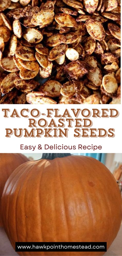 One of my favorite things about pumpkin carving and Fall is roasting the pumpkin seeds.

Enjoy these delicious crunchy pumpkin seeds with the wonderful taco flavor. Pumpkin seeds are a healthy and satisfying snack that are so easy to make!

Making pumpkin seeds is a fun activity to do with kids! Especially trying different flavors. Plus you can put those pumpkin seeds left over after carving your fall pumpkins to great use! Baked Pumpkin Seeds, Oven Roasted Pumpkin Seeds, Easy Pumpkin Seeds, Best Pumpkin Seed Recipe, Pumpkin Seed Recipes Roasted, Roasted Pumpkin Seeds Recipe, Pumpkin Seed Recipe, Spicy Roasted Pumpkin Seeds, Perfect Pumpkin Seeds