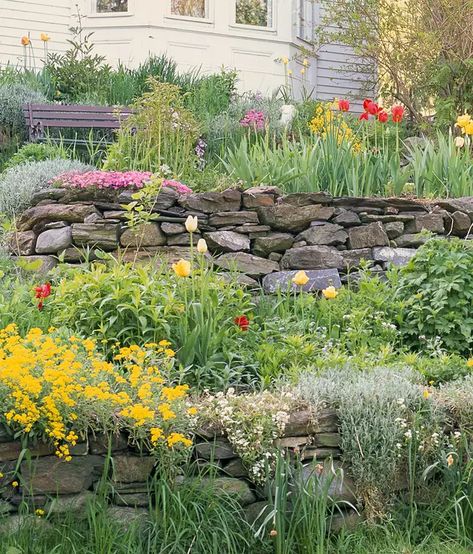 Rock Wall Gardens, Garden Sitting Areas, Sloped Backyard Landscaping, Landscaping A Slope, Garden Problems, Sloped Yard, Hillside Garden, Sloped Backyard, Tiered Garden